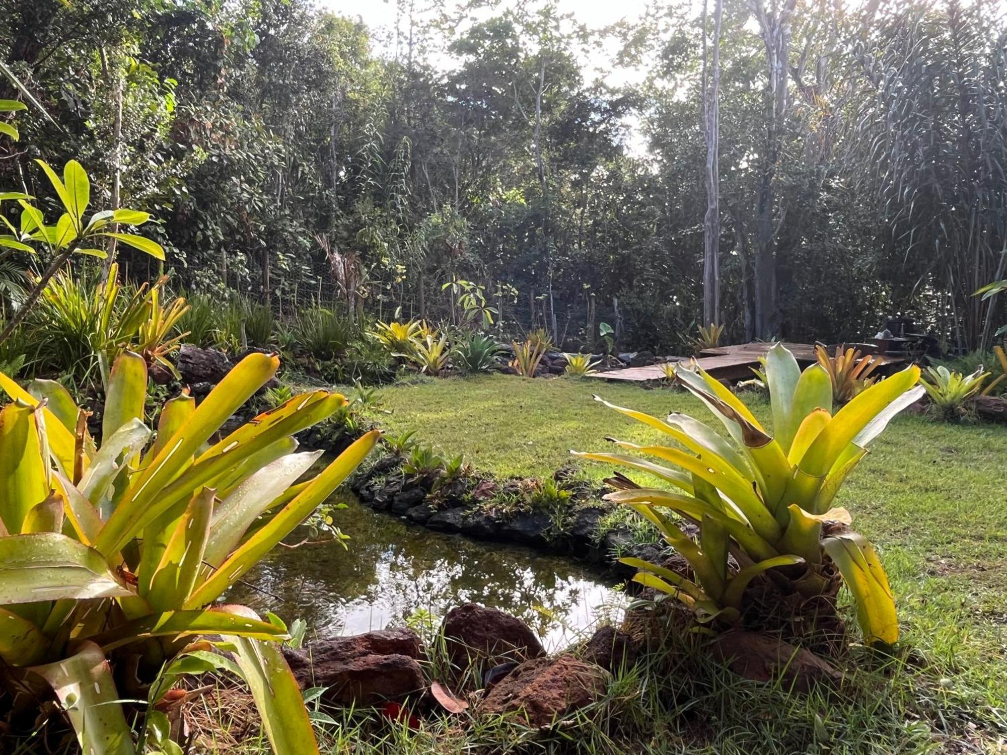 Quinta Do Sossego Hotel Mata de Sao Joao Luaran gambar
