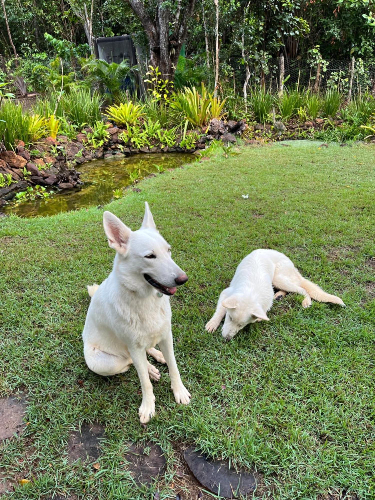 Quinta Do Sossego Hotel Mata de Sao Joao Luaran gambar